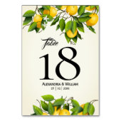 Moderne Lemonvruchten | Weddenschap Kaart (Voorkant)