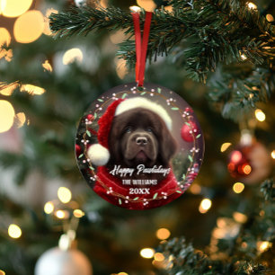 Moderne lieve huisdierhond Fijne Feestdagen 2-zijd Ornament