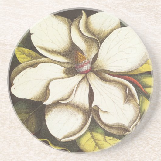 Moderne  Magnolia Zandsteen Onderzetter (Voorkant)
