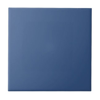 Moderne Minimalistische Blauwe Tegeltje