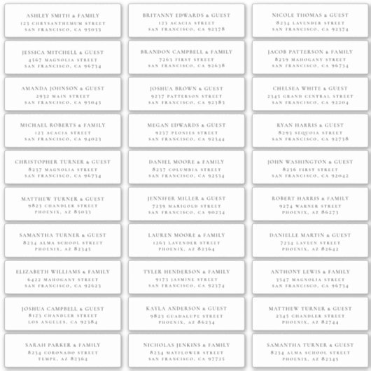 Moderne minimalistische bruiloft gastnamen Adres Sticker (Voorkant)