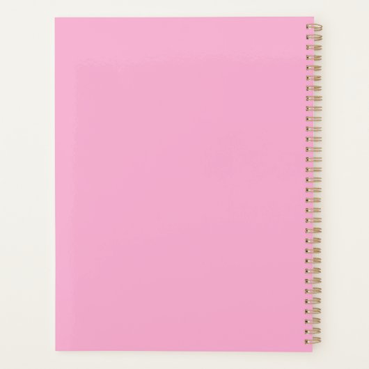 Moderne Minimalistische Lerarenschool Roze Planner (Achterkant)