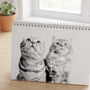 Moderne Moppige Grappige Huisdier Kitten Kat Foto' Kalender