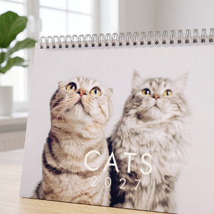 Moderne Moppige Grappige Huisdier Kitten Kat Foto' Kalender