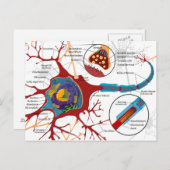 Moderne neuronstijl briefkaart (Voorkant / Achterkant)