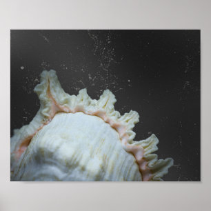 Moderne Neutrale Tropische Seashell Printable Art Poster