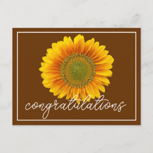 Moderne oranje en gele zonnebloem Gefeliciteerd Briefkaart