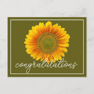 Moderne oranje en gele zonnebloem gefeliciteerd briefkaart