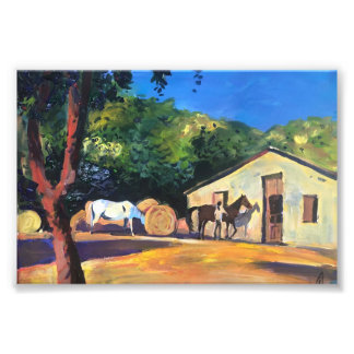 Moderne paarden schilderen in de stal foto afdruk