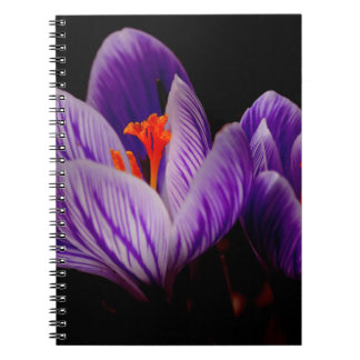 Moderne Paarse tulpenbloem Notitieboek
