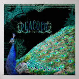 Moderne Peacock Elegant Wall Art Uitzicht Poster