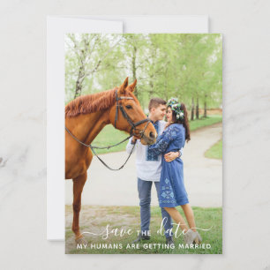 Moderne persoonlijke foto's van Pet Weddenschap Save The Date