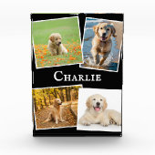 Moderne Pet Dog Collage Keepsake Fotoblokken (Voorkant)