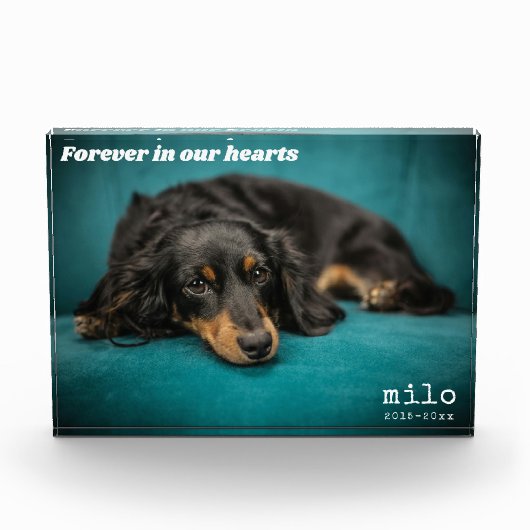 Moderne Pet Memorial Custom Overlay Pet Fotoblokken (Voorkant)