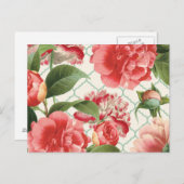 moderne  pony briefkaart (Voorkant / Achterkant)