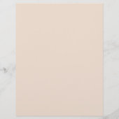 Moderne reinigingsservice demontage flyer (Achterkant)