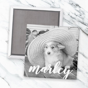 Moderne Rustic Simple Custom Pet-foto Magneet
