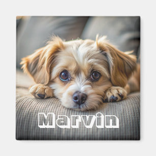 Moderne Rustic Simple Custom Pet-foto Magneet