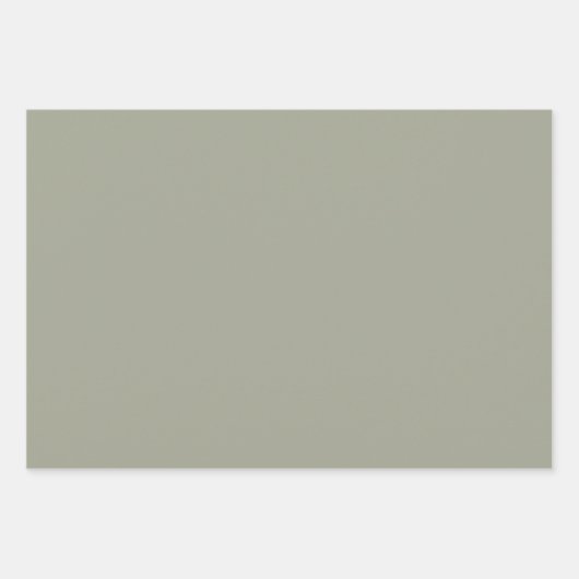 Moderne Sage Groene Solid Plain Inpakpapier Vel (Voorkant 3)