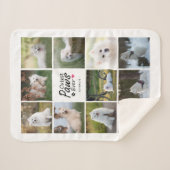 Moderne Schattigee poten ooit speelse hondenfotoco Sherpa Deken (Voorkant (horizontaal))