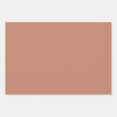 Moderne Shades Roest Inpakpapier Vel (Voorkant)