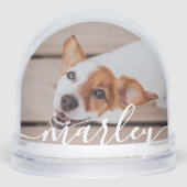 Moderne Simple Jouer Élégant Chic Pet Photo (Avant)