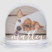 Moderne Simple Jouer Élégant Chic Pet Photo (Arrière)