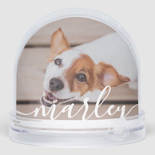 Moderne Simple Jouer Élégant Chic Pet Photo (Arrière)