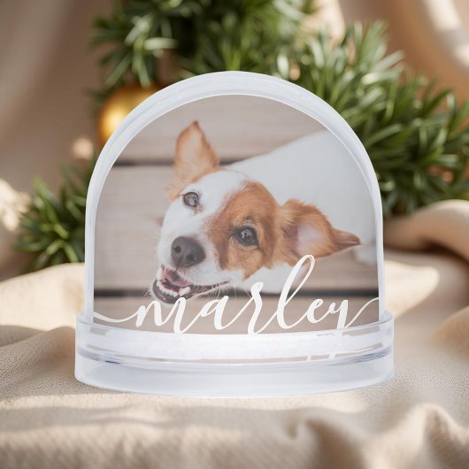 Moderne Simple Jouer Élégant Chic Pet Photo