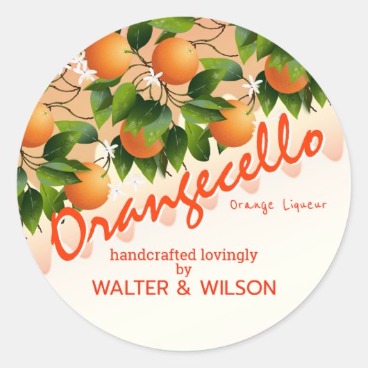 Moderne Sinaasappeloranje Ronde Sticker (Voorkant)