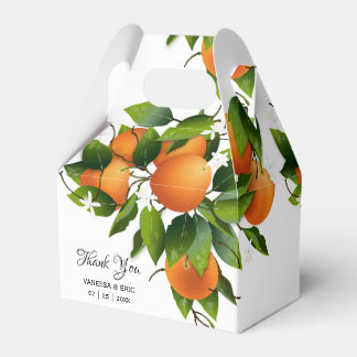 Moderne Sinaasappels fruit | Bruiloft Bedankdoosjes