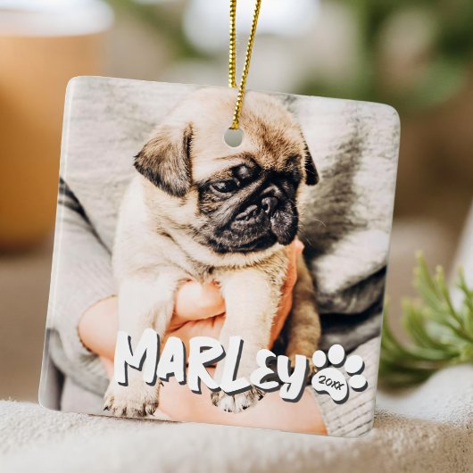 Moderne speelse eenvoudige grunge aangepaste huisd keramisch ornament