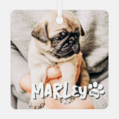 Moderne speelse eenvoudige grunge aangepaste huisd metalen ornament (Achterkant)