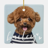 Moderne speelse eenvoudige harten chique huisdier keramisch ornament (Achterkant)