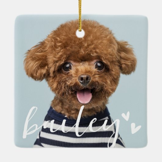 Moderne speelse eenvoudige harten chique huisdier keramisch ornament (Achterkant)