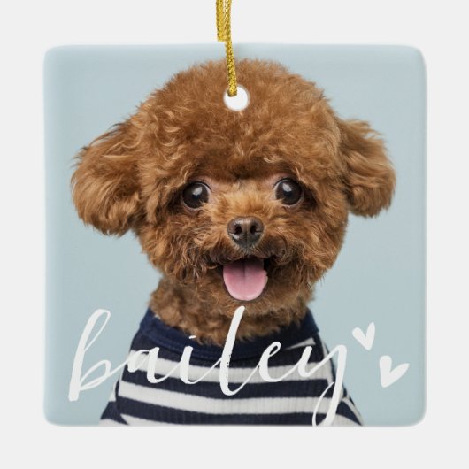 Moderne speelse eenvoudige harten chique huisdier keramisch ornament (Voorkant)