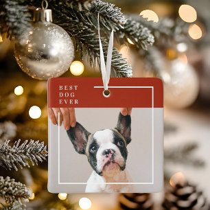Moderne Terracotta Rode Foto van de Beste Hond Ooi Keramisch Ornament