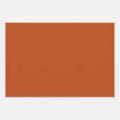 Moderne tinten roest inpakpapier vel (Voorkant 3)