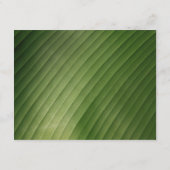 Moderne Tropische Blad Bruiloft Details Informatiekaartje (Achterkant)