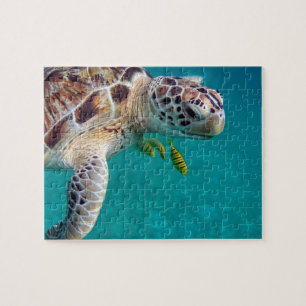 Moderne tropische schildpad legpuzzel