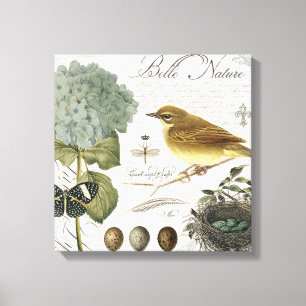 moderne vogel en nest canvas afdruk