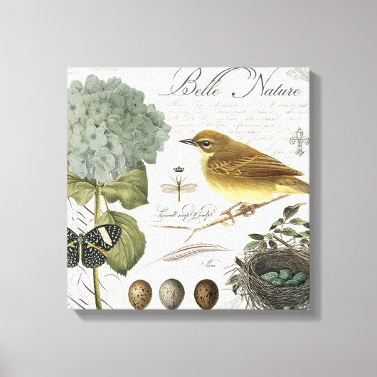 moderne  vogel en nest canvas afdruk (Voorkant)