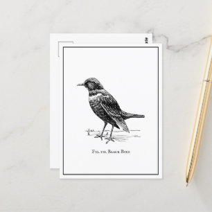 Moderne Vreemde Plezierige Zwarte Vogel Briefkaart