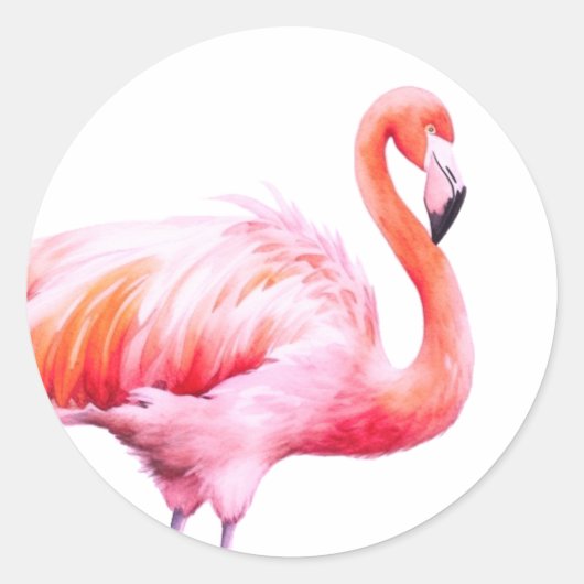 Moderne Waterverf Roze Flamingo Ronde Sticker (Voorkant)