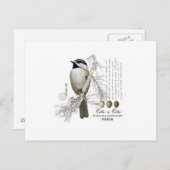 moderne  winterwoudcichorei briefkaart (Voorkant / Achterkant)