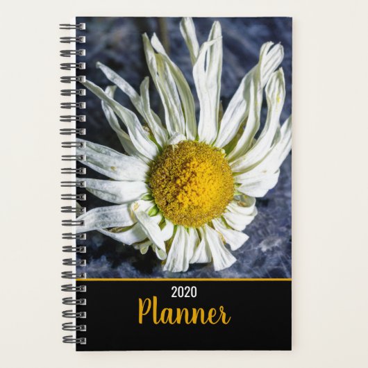 Moderne Witte Daisy Bloem Speciale gelegenheden Planner (Voorkant)