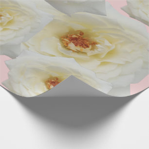 Moderne witte rozen voor haar roze achtergrond cadeaupapier