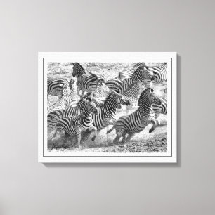 Moderne Zebra voor zwarte en witte fotografie Canvas Afdruk