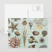 Moderne  zeeshells briefkaart (Voorkant / Achterkant)