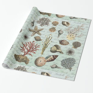 Moderne zeeshells cadeaupapier